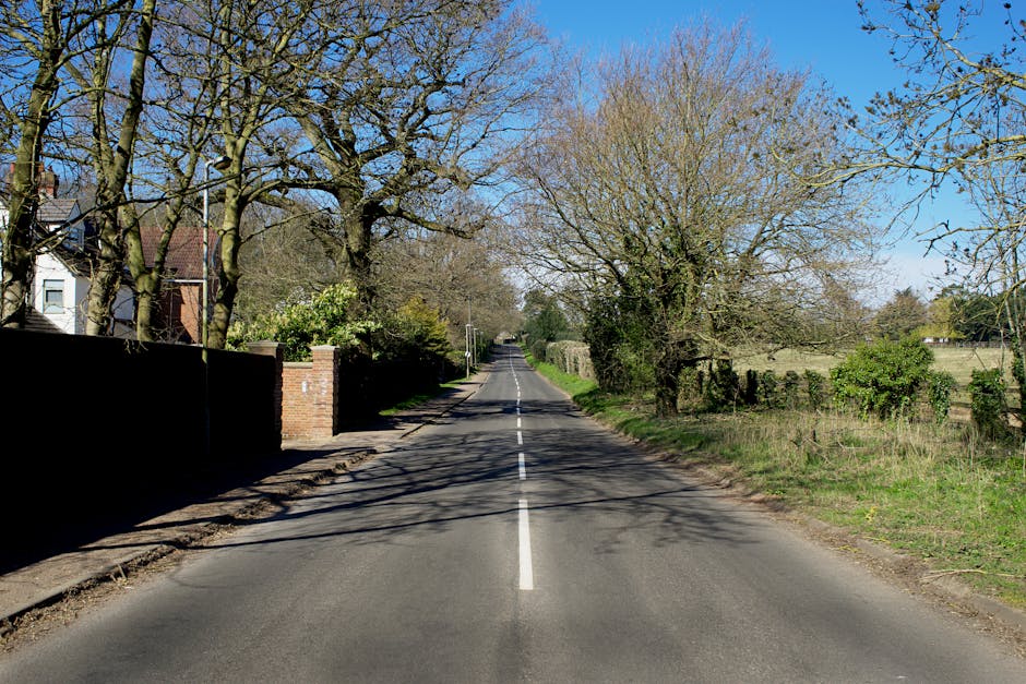 An empty residential street lined with tall, leafless trees casting shadows on the tarmac road, which has a single dashed white line running down the center. On the left side, a brick wall with a wood